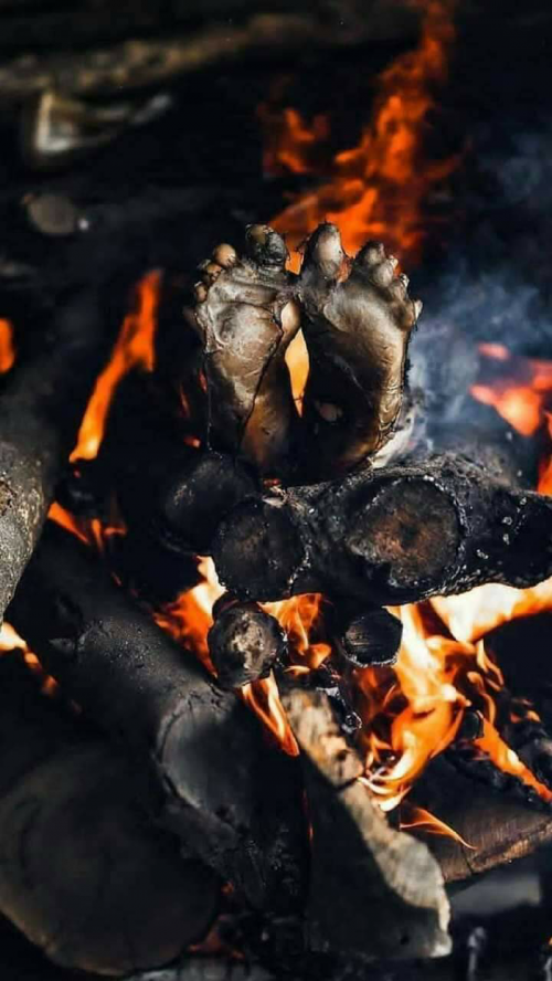 Post by Sonu Kumar Dangi on 29-Sep-2019 09:11pm