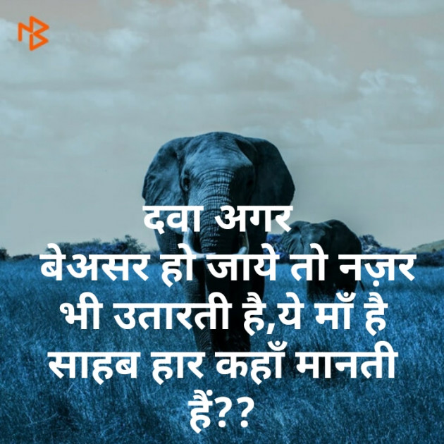 Hindi Microfiction by Nishuba : 111263578