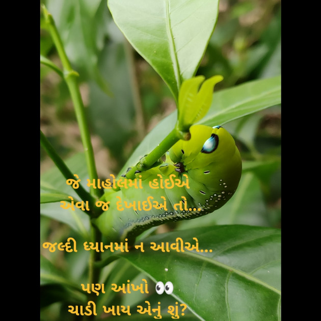 Gujarati Thought by Riddhi Patoliya : 111263757