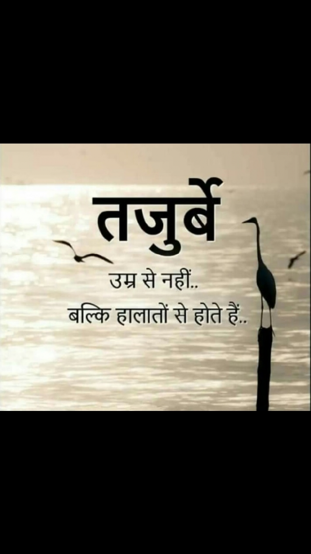English Quotes by Yogi Forever : 111264222