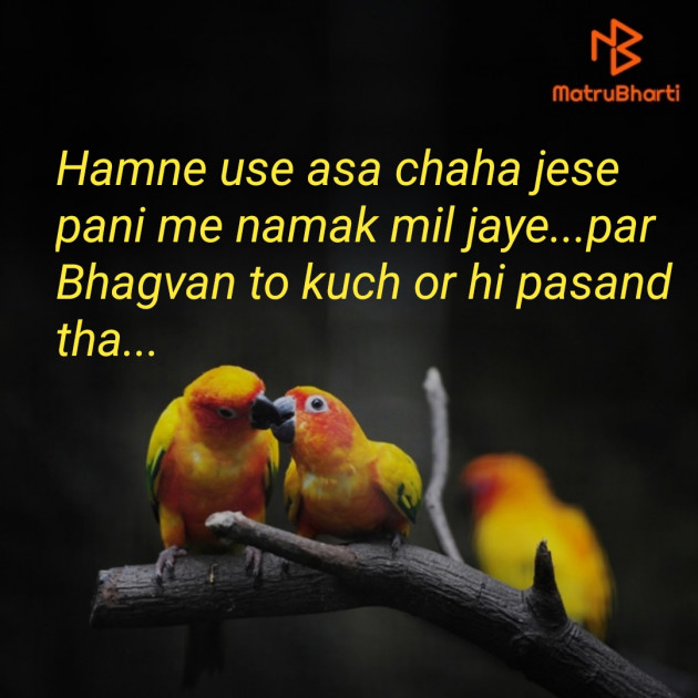 Hindi Shayri by Vishal Gajera : 111264667