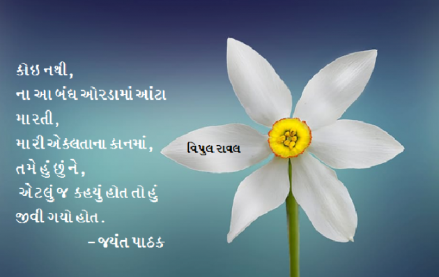 Gujarati Shayri by Vipulbhai Raval : 111265359