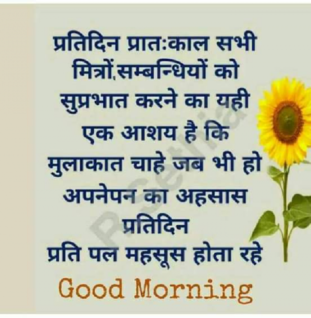 English Good Morning by Jasbir Kumar : 111265918