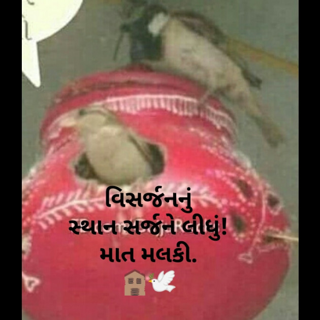 Gujarati Hiku by Kinar Rana : 111266330