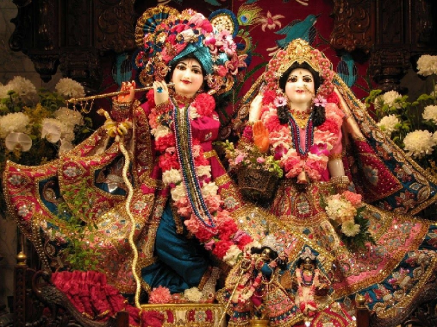Gujarati Good Evening by Sujal B. Patel : 111266603