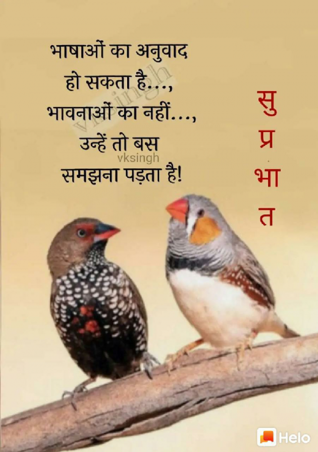 Gujarati Poem by મોહનભાઈ આનંદ : 111266768