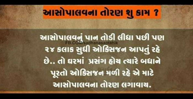 Gujarati Motivational by Bhumika Vyas : 111267736