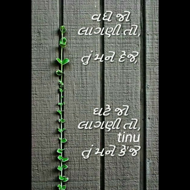 Gujarati Blog by Tinu : 111268102