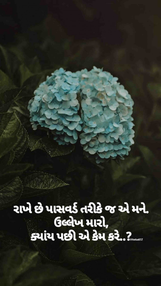 Gujarati Hiku by Sandeep Katariya : 111269217