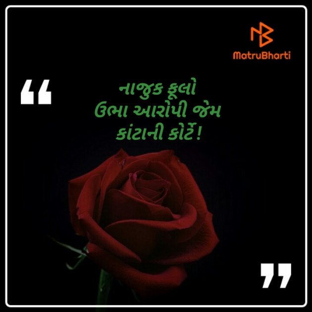 Gujarati Hiku by Kinar Rana : 111269363