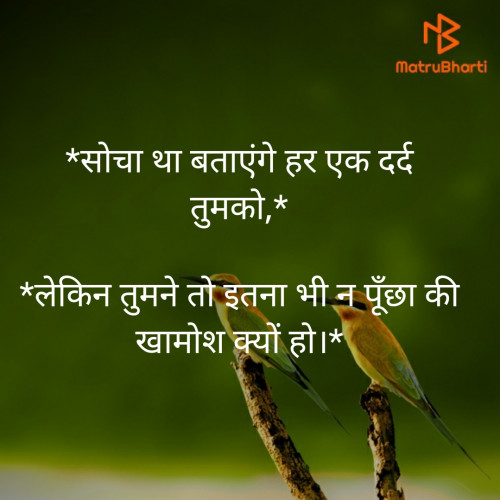 Post by Bhargav Prajapati on 13-Oct-2019 11:17am