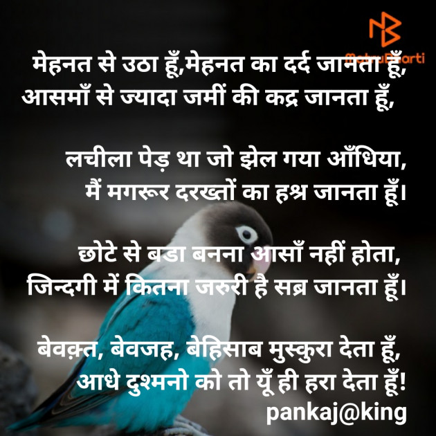 Hindi Blog by King : 111271637