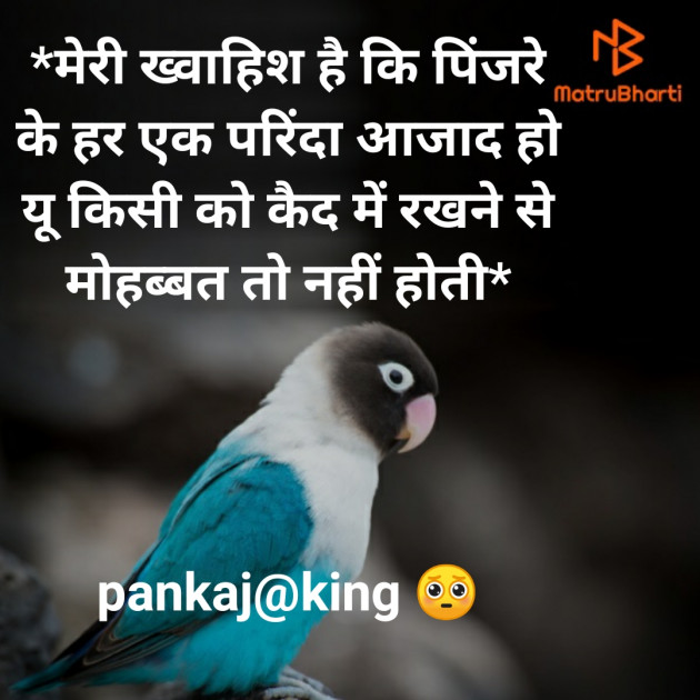 Hindi Blog by King : 111272109