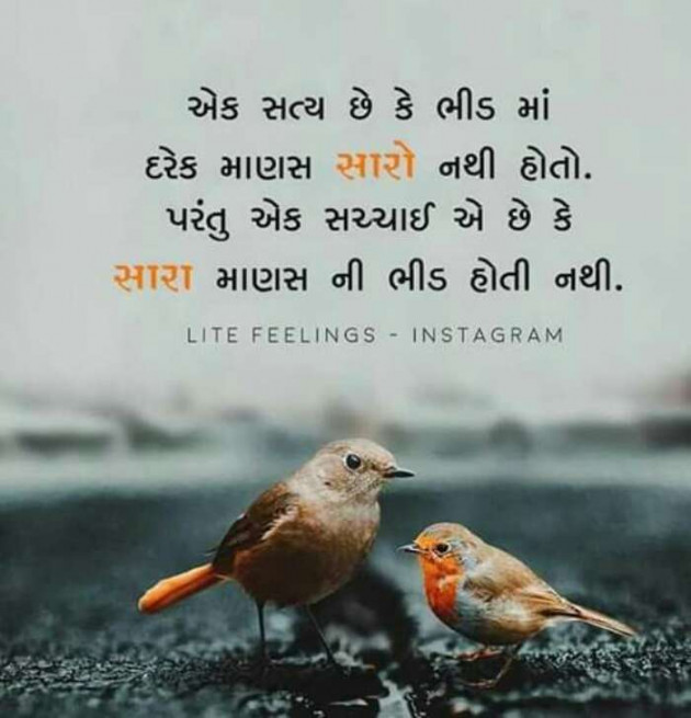 Gujarati Thought by Suresh Tanna : 111272636