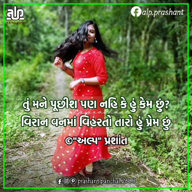 Gujarati Shayri by alpprashant : 111272893