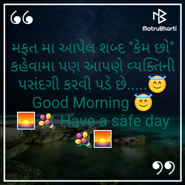 Gujarati Blog by Vavadiya L.B. : 111272926