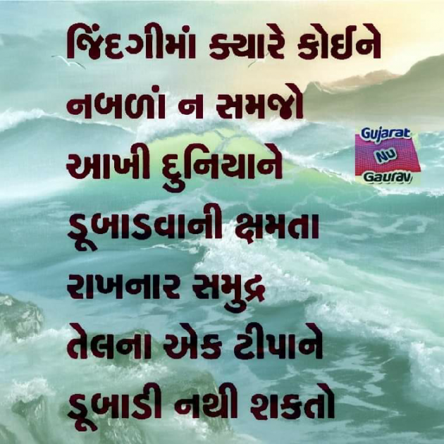 Gujarati Blog by Bhavna Trivedi : 111272942