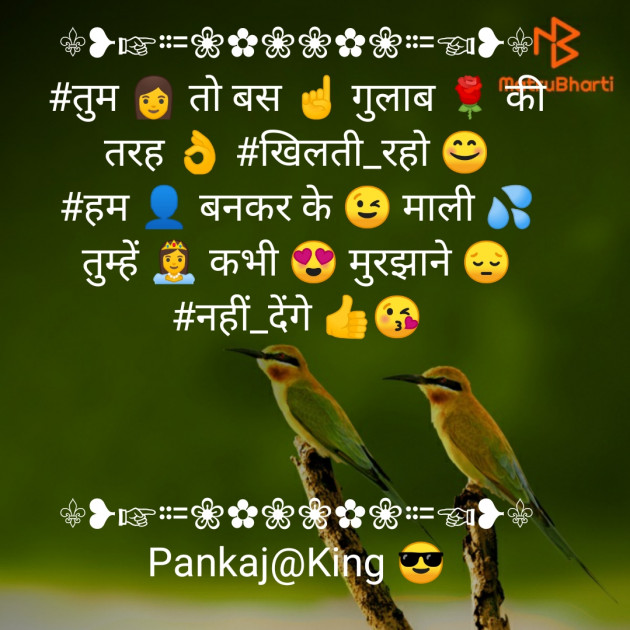 Hindi Blog by King : 111273870