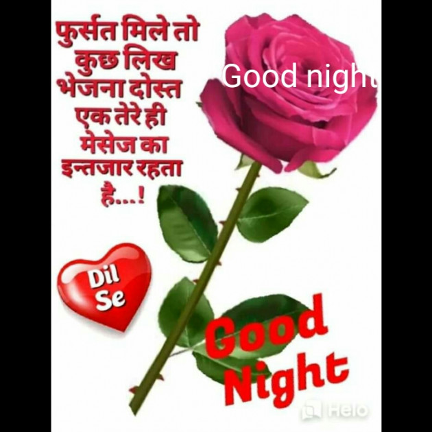 English Good Night by Meena : 111274516