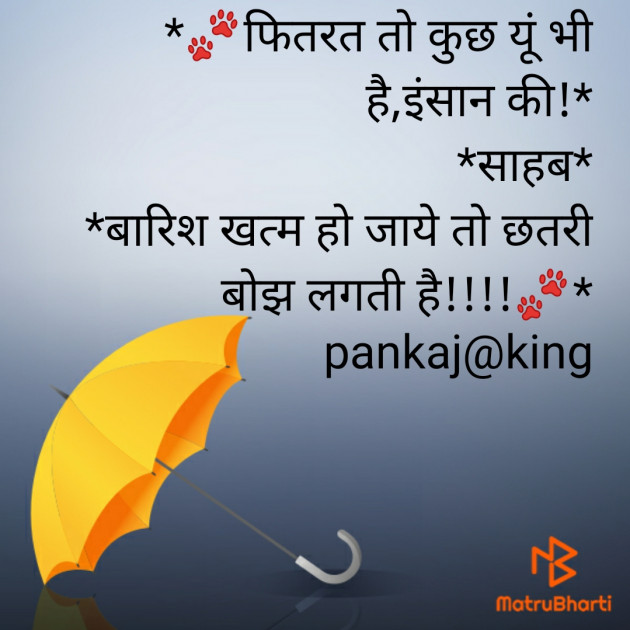 Hindi Blog by King : 111274827