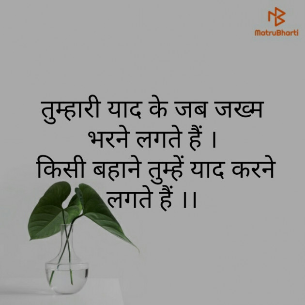 Gujarati Good Evening by mim Patel : 111275534