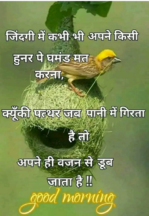 Post by Meena on 24-Oct-2019 05:31am