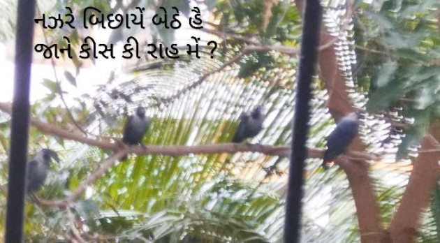 Gujarati Good Evening by Aarti Joshi : 111276611