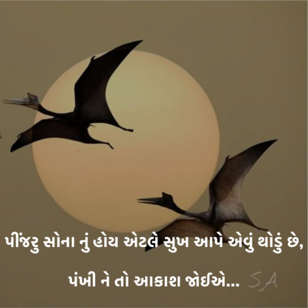 Gujarati Good Night by Kunjdas : 111276696