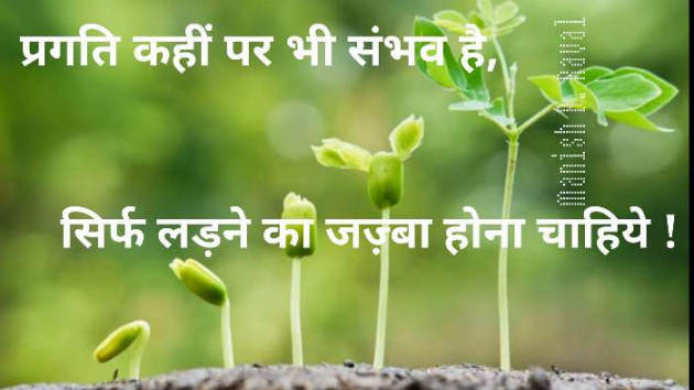 Gujarati Thought by Dr. Manish B. Raval : 111278746
