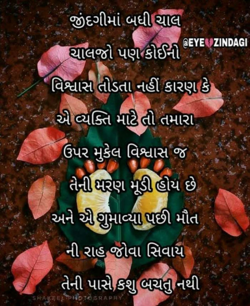 Post by EyeZindagi on 29-Oct-2019 11:42am