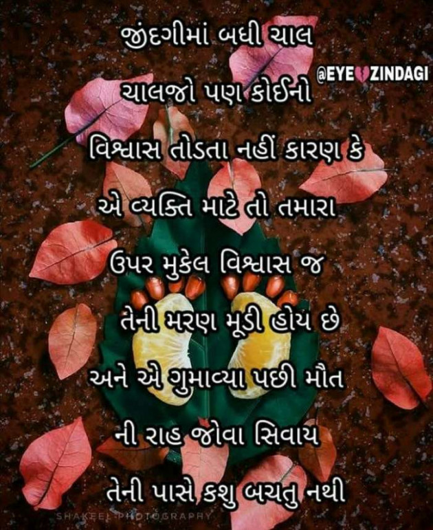 Gujarati Quotes by EyeZindagi : 111278954