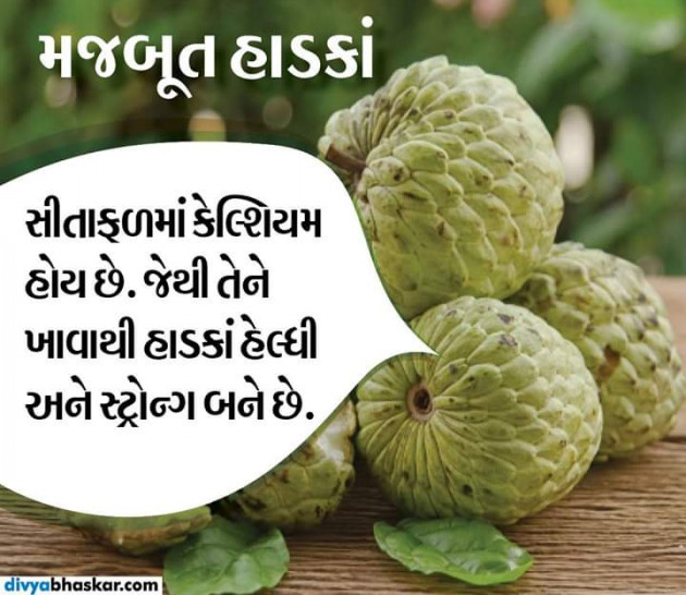 Gujarati Motivational by Chaula Kuruwa : 111280299