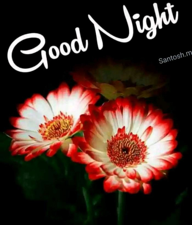 Marathi Good Night by मच्छिंद्र माळी : 111280655