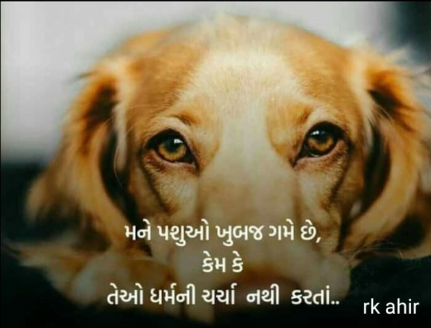 Gujarati Thought by Rk Ahir : 111281485