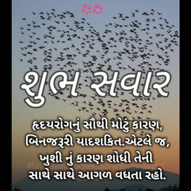 Gujarati Good Morning by Rk Ahir : 111282088