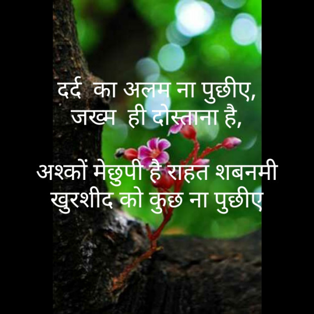 Hindi Poem by મોહનભાઈ આનંદ : 111282391