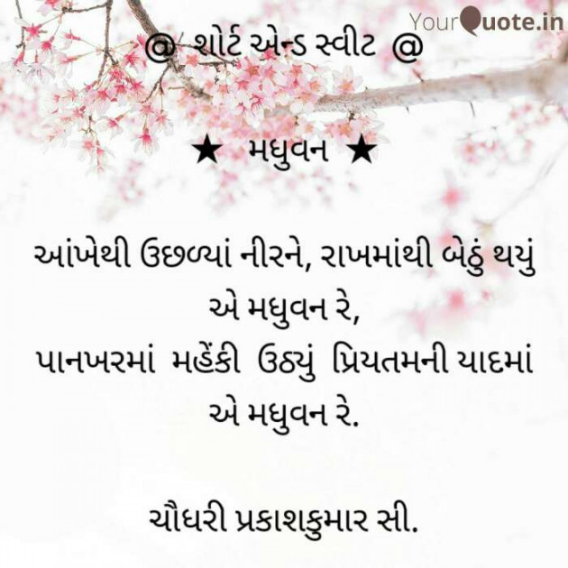 Gujarati Blog by Prakash Chaudhari : 111282691