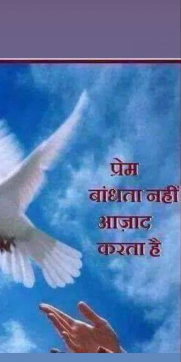 Gujarati Thought by Heema Joshi : 111284620