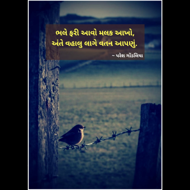 Gujarati Thought by PARESH GONDALIYA : 111286459