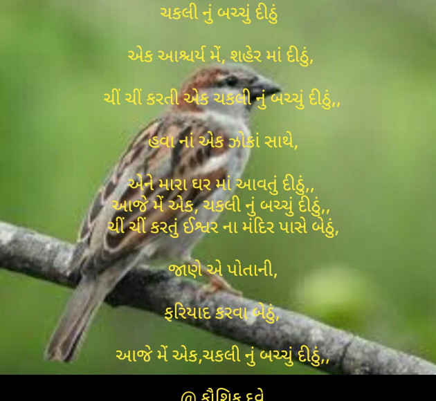 Gujarati Poem by Kaushik Dave : 111287482