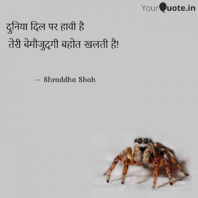 Gujarati Thought by Shraddha Shah : 111287618
