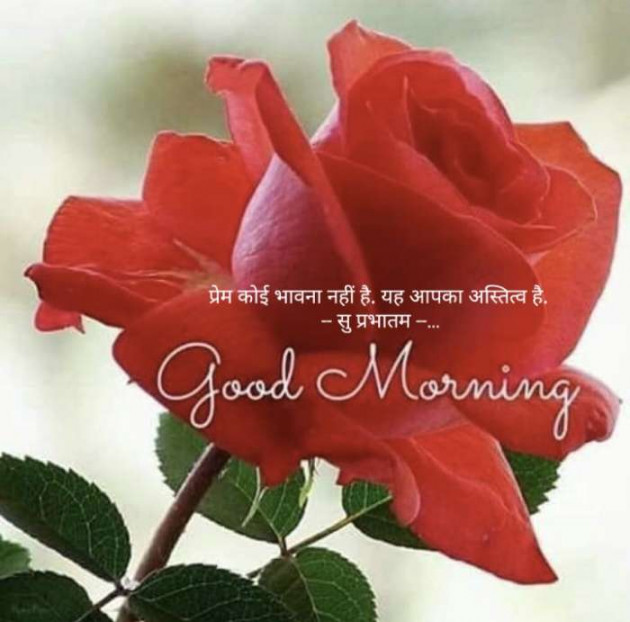 Hindi Good Morning by Kalpesh Joshi : 111288505