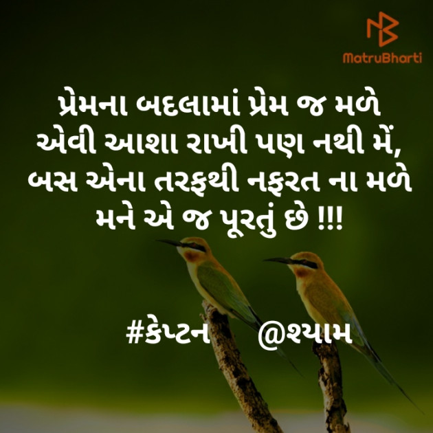Gujarati Blog by Nirav Patel SHYAM : 111288545