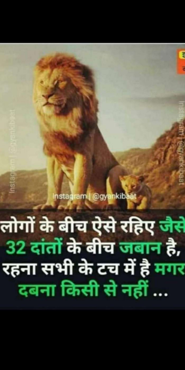 Gujarati Thought by Heema Joshi : 111289157