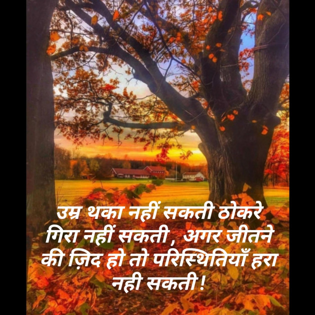 Hindi Good Morning by Poorav : 111289788