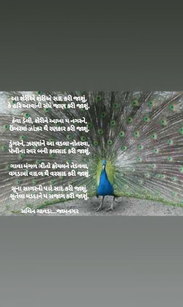 Gujarati Poem by Sachin Chavda : 111289863