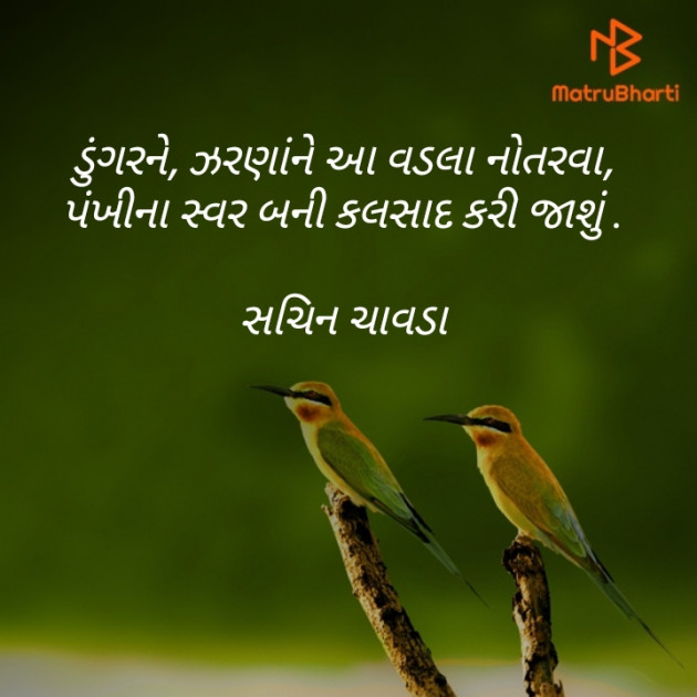 Gujarati Shayri by Sachin Chavda : 111290133