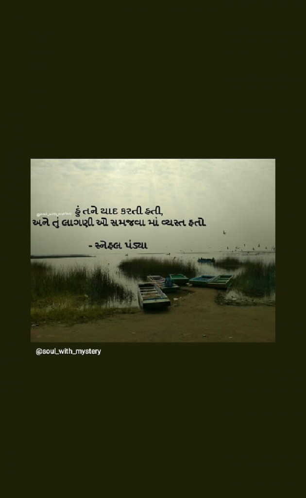 Gujarati Shayri by snehal pandya._.soul with mystery : 111290453