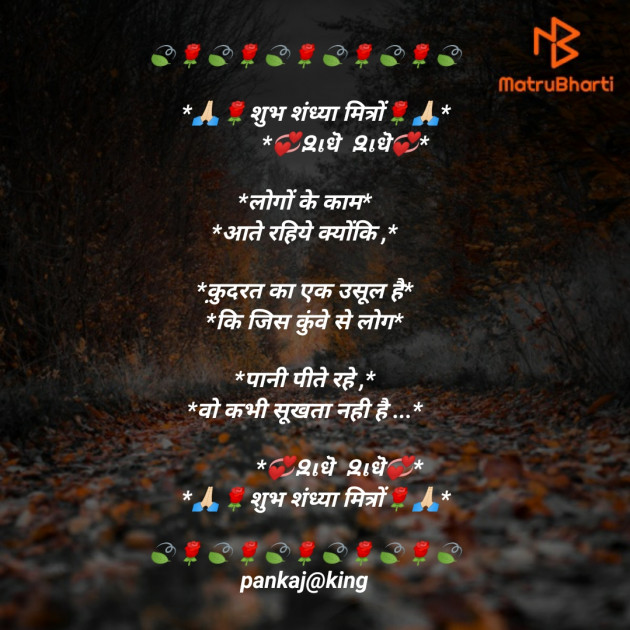 Hindi Blog by King : 111290786