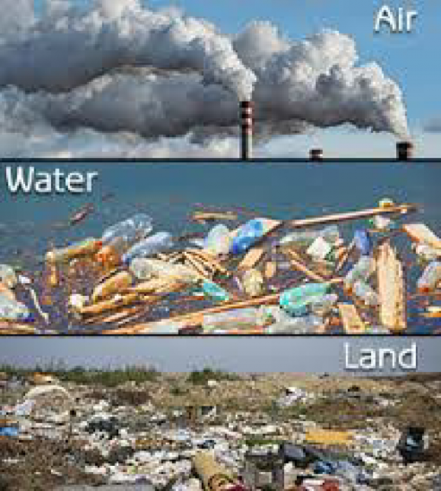 Gujarati Thought by I Am Environment : 111290804